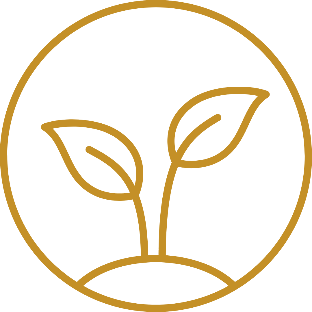 icono entorn unic en plena naturalesa